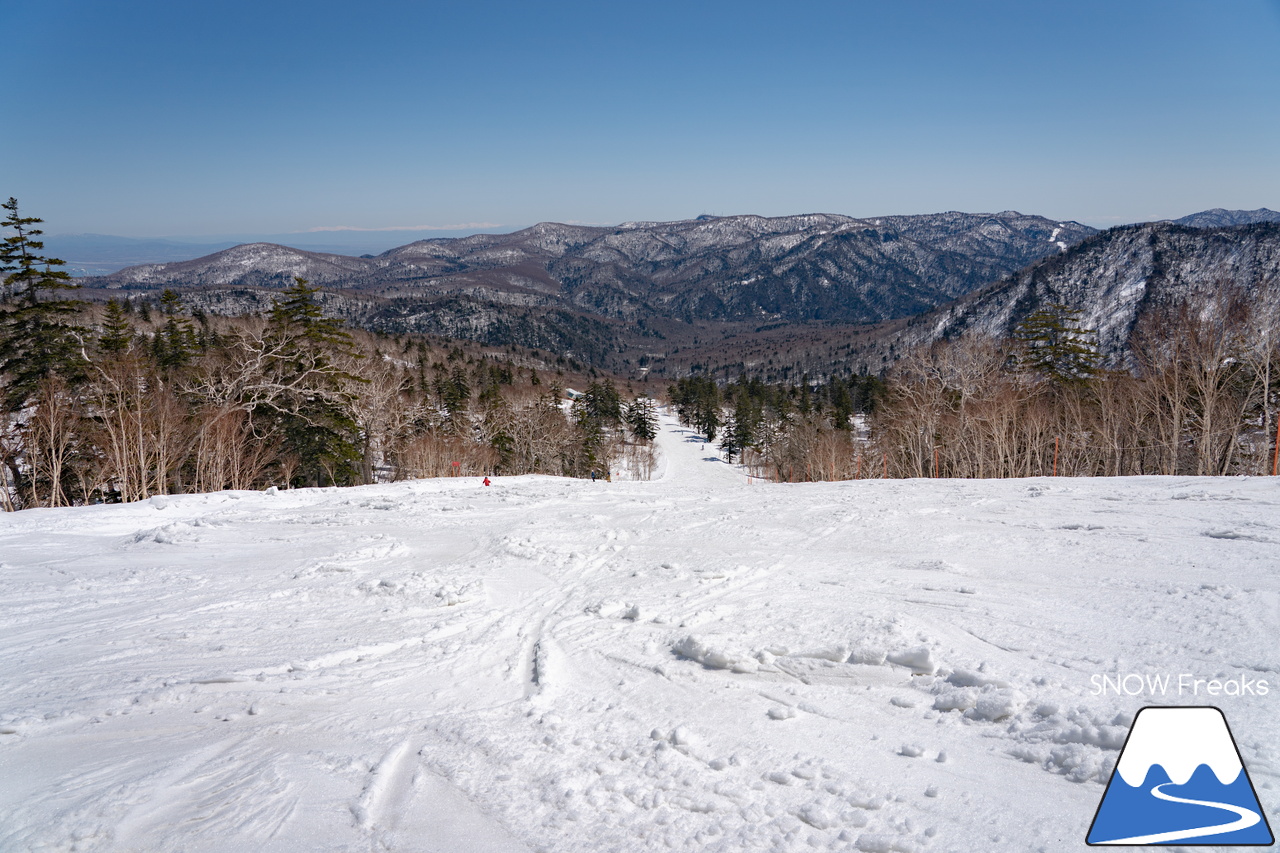 札幌国際スキー場｜ゴールデンウイーク初日も全コース滑走可能OK！！真っ白な雪と澄んだ青空 ＝ 絶好の春スキー＆スノーボード日和♪そして、日本海の彼方に、なんと利尻富士が見えた？！